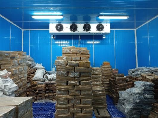 Interior cold storage Samaki 40 ton di Wonosari, Klaten — stok fillet ikan beku siap kirim
